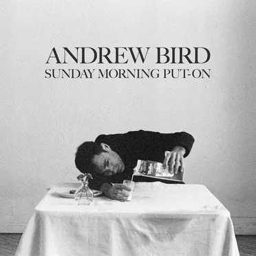 Andrew Bird Trio