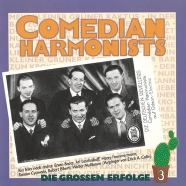Die großen Erfolge 3
