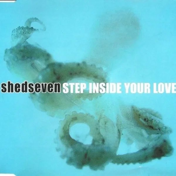 Step Inside Your Love
