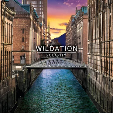 Polarity by Wildation - album cover