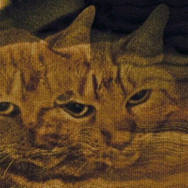 Orange Tab E