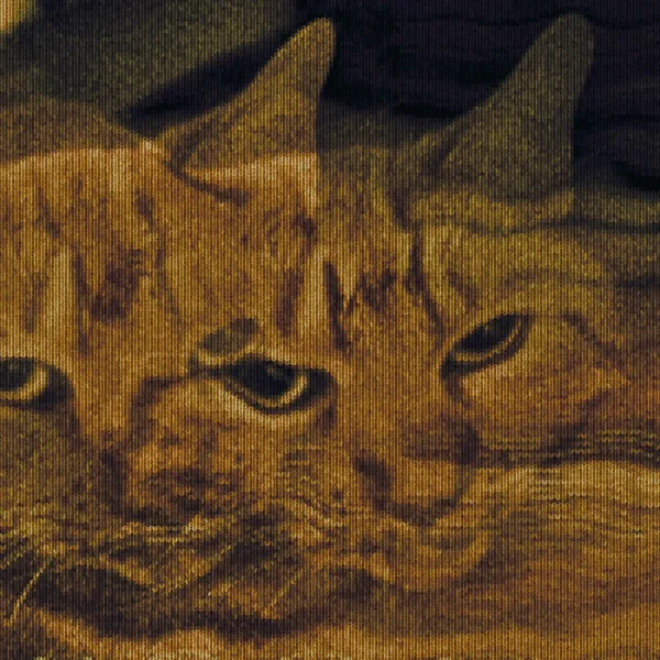 Orange Tab E