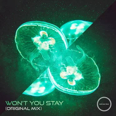 Won’t You Stay