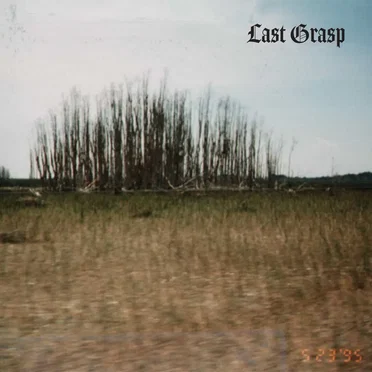 Last Grasp by Last Grasp - album cover