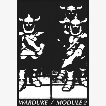 MODULE 2