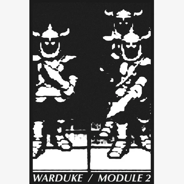 MODULE 2