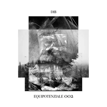 Equipotenziale 002 by DIB - album cover