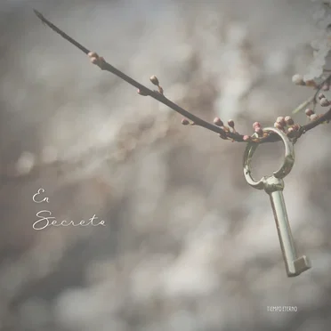 En Secreto by Tiempo Eterno - album cover