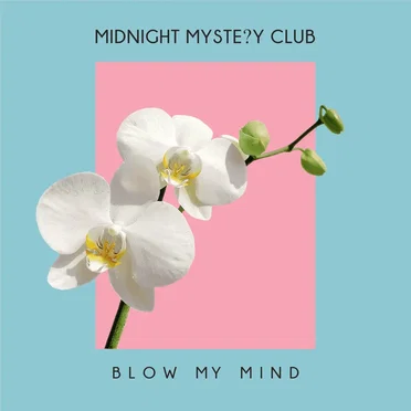 Blow My Mind by Midnight Mystery Club - album cover