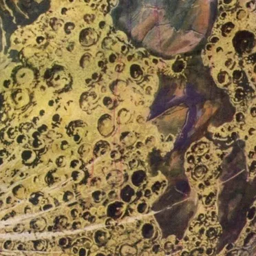 Requiem for Simiiformes