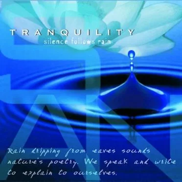 Tranquility: Silence Follows Rain by Various Artists - album cover