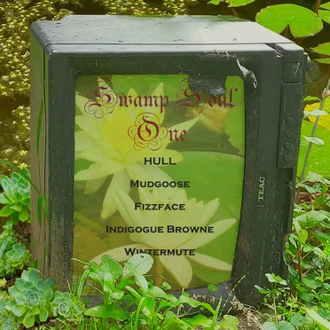 swamp soul one by Various Artists - album cover