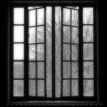 Notes From an Open Window