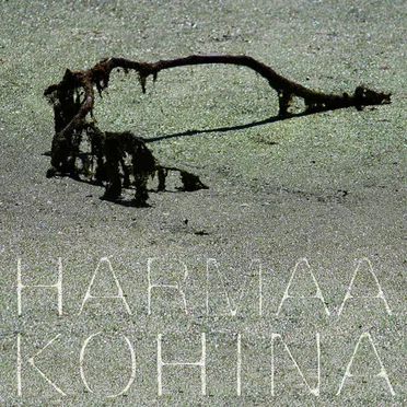Harmaa kohina