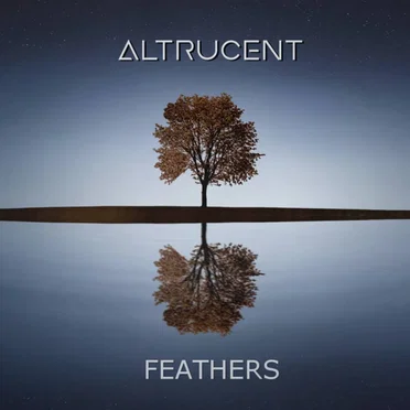 Feathers