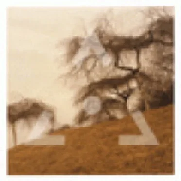 Mountaineer by Lovetree - album cover