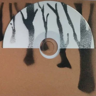 Dancing Eyes (cd2) by Nystagmus duo - album cover