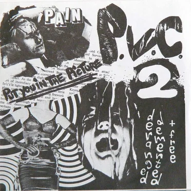 Put You in the Picture by PVC2 - album cover