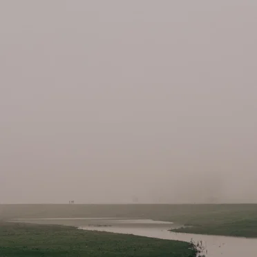 The River Brings Me Home