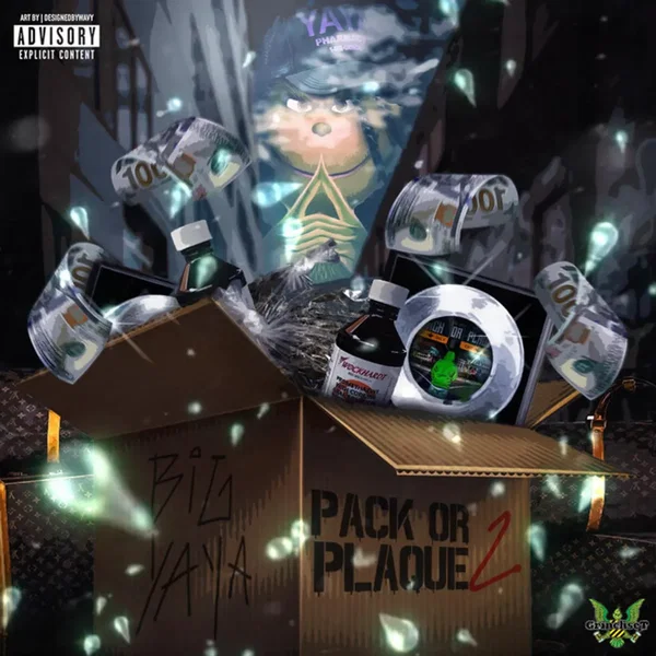 Pack or Plaque 2