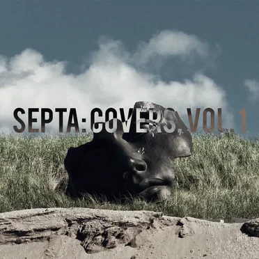 Covers, Vol. 1