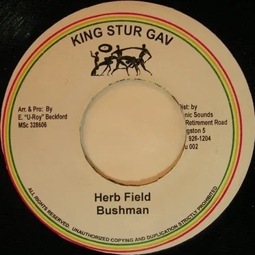 Herb Field by Bushman - album cover