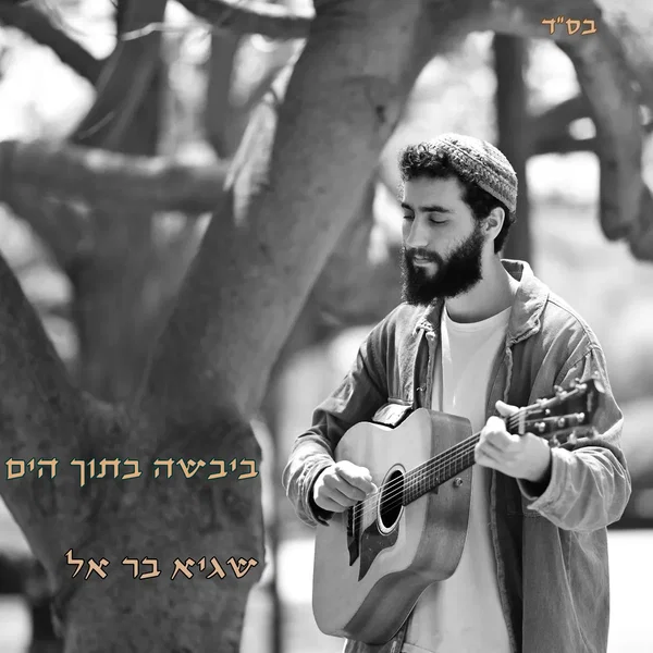 ביבשה בתוך הים