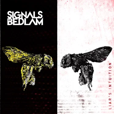 Liar's Intuition by Signals of Bedlam - album cover
