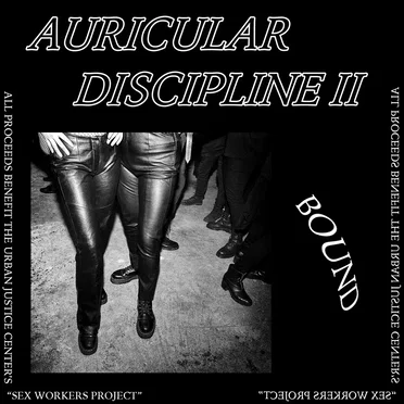 Auricular Discipline II by Various Artists - album cover