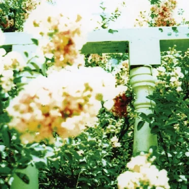 Little Wars by Unwed Sailor - album cover