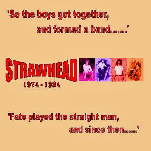 So the Boys Got Together and Formed a Band...