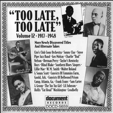 Too Late, Too Late: More Newly Discovered Titles and Alternate Takes, Volume 12 (1917-1948) by Various Artists - album cover