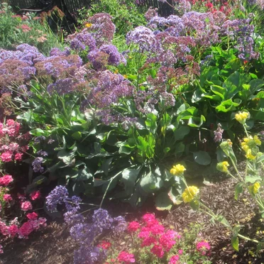 Mother's Day Weekend: Day Two