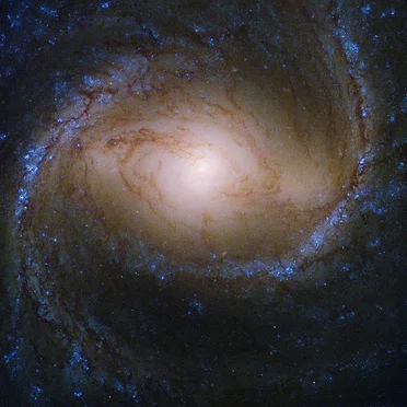 M91