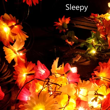 Demo by Sleepy - album cover