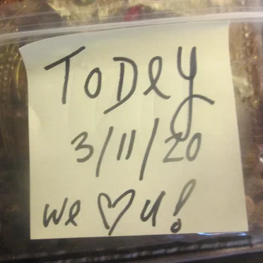 By Your Side, as You Always Were for Us