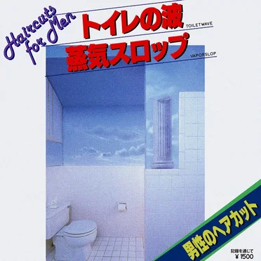 Toiletwave