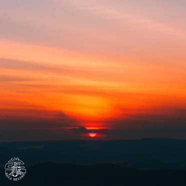 Coffee in the Morning