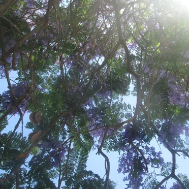 Visiting My Grandpa and Step-Grandma