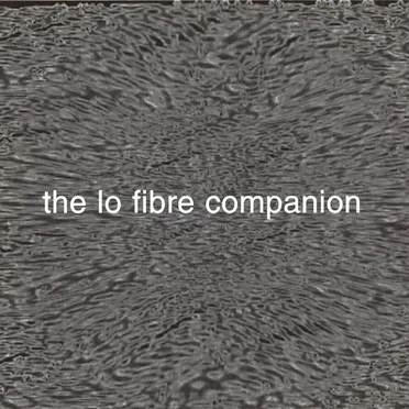 The Lo Fibre Companion by Various Artists - album cover