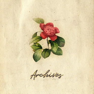 Archives by Vincent Rubinetti - album cover