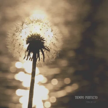 Tiempo Perfecto