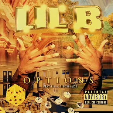 Options by Lil B - album cover