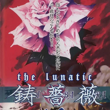 the lunatic: IBARA REMIX TRACKS