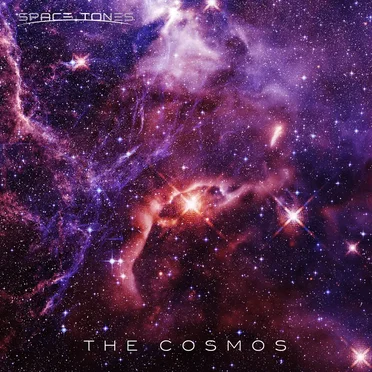 The Cosmos