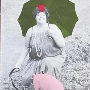 Melodije polja in sonca