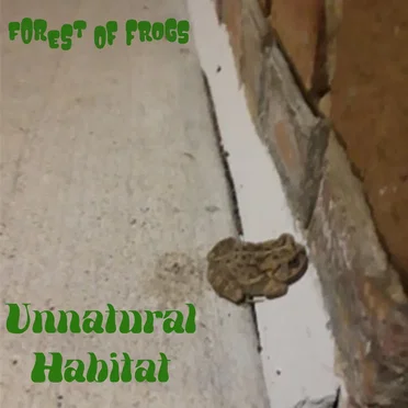 Unnatural Habitat