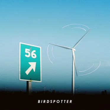 Gusty by Birdspotter - album cover