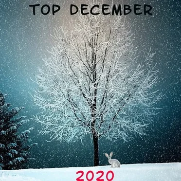 Top December 2020 by Various Artists - album cover