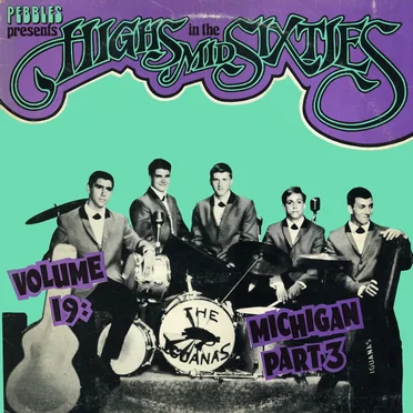 Highs in the Mid Sixties Volume 19: Michigan Part 3 by Various Artists - album cover